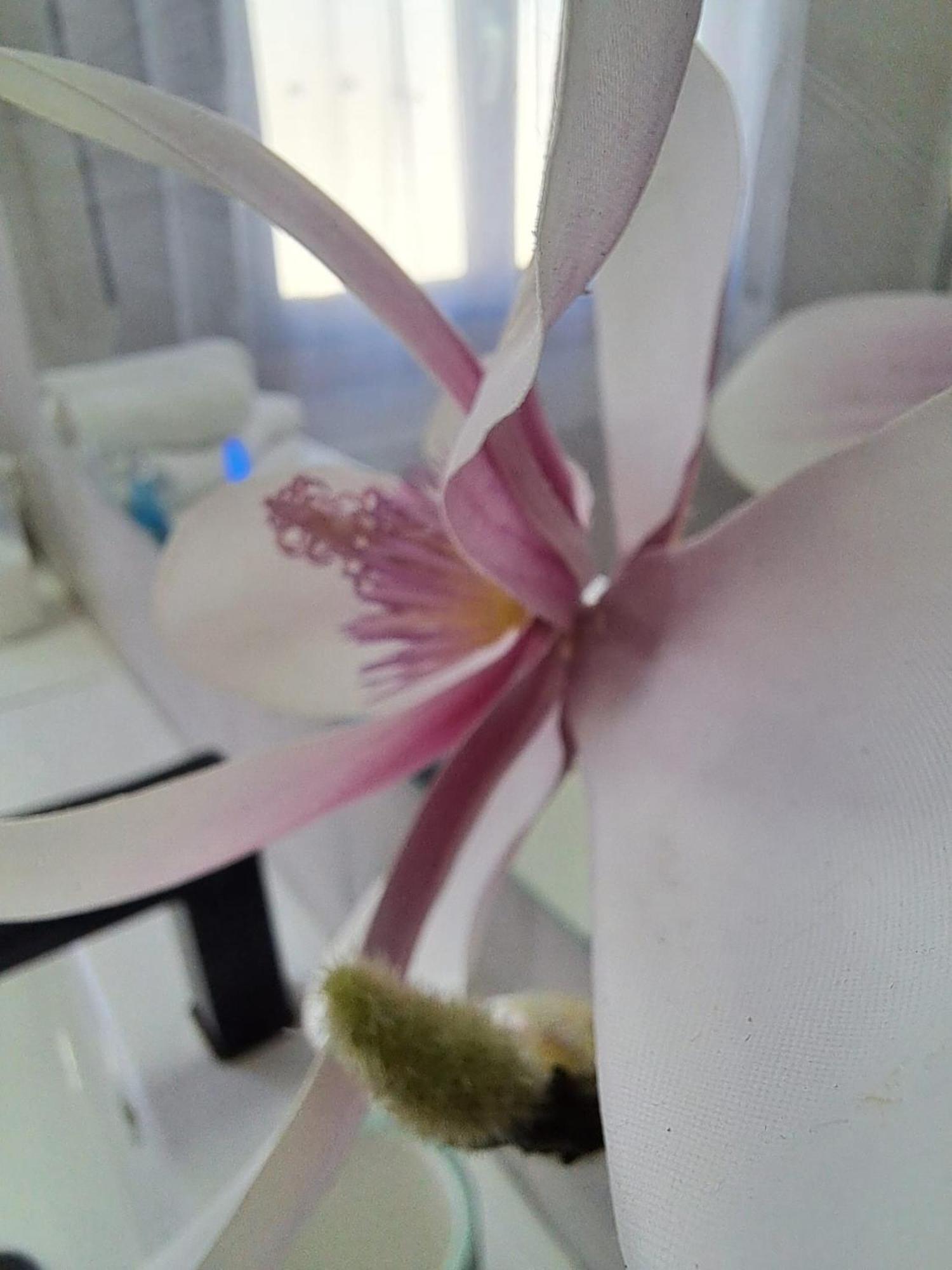 Mi Casita Del Norte Mogro Zewnętrze zdjęcie